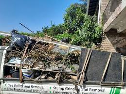 Best Recycling Services for Junk  in Pinckneyvle, IL